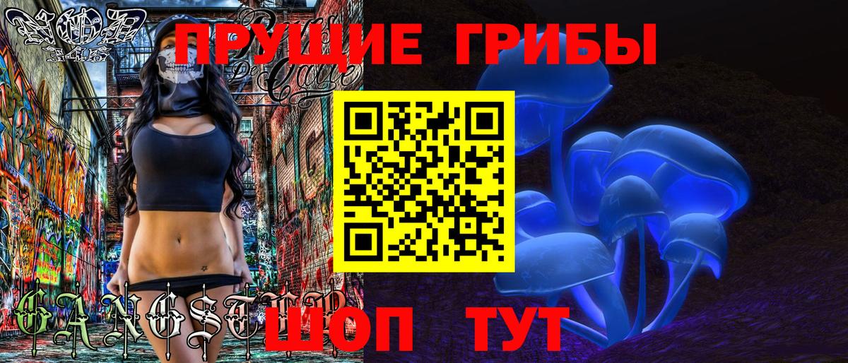 Псилоцибиновые грибы GOLDEN TEACHER  Вход с VPN  Галлюциногенные грибы GOLDEN TEACHER  Кингисепп 