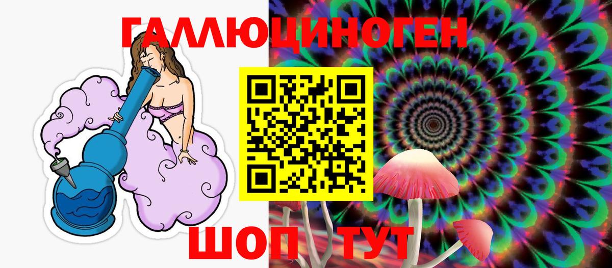 Галлюциногенные грибы Cubensis Кингисепп